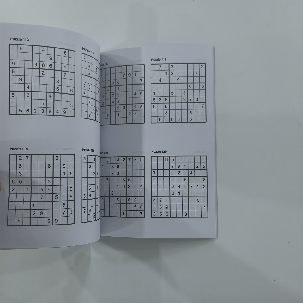 120 Puzzles Englisches Sudoku- – Kids Education Activities Bewertung und Preis