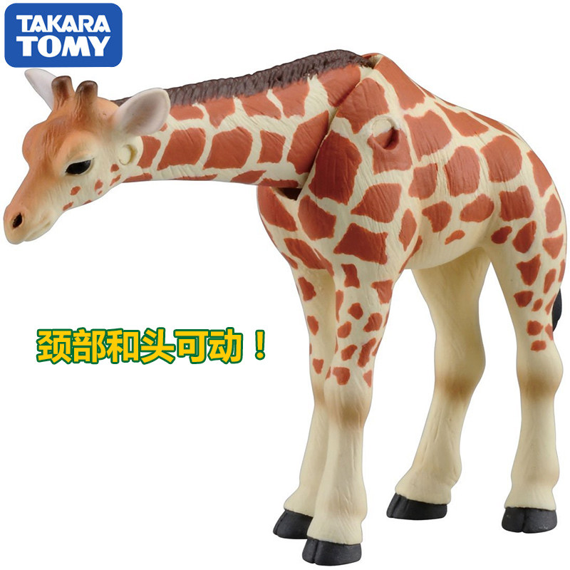 Original Takara Tomy Ania Gira – Kids First Education Bewertung und Preis